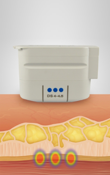 라인마스터클리닉